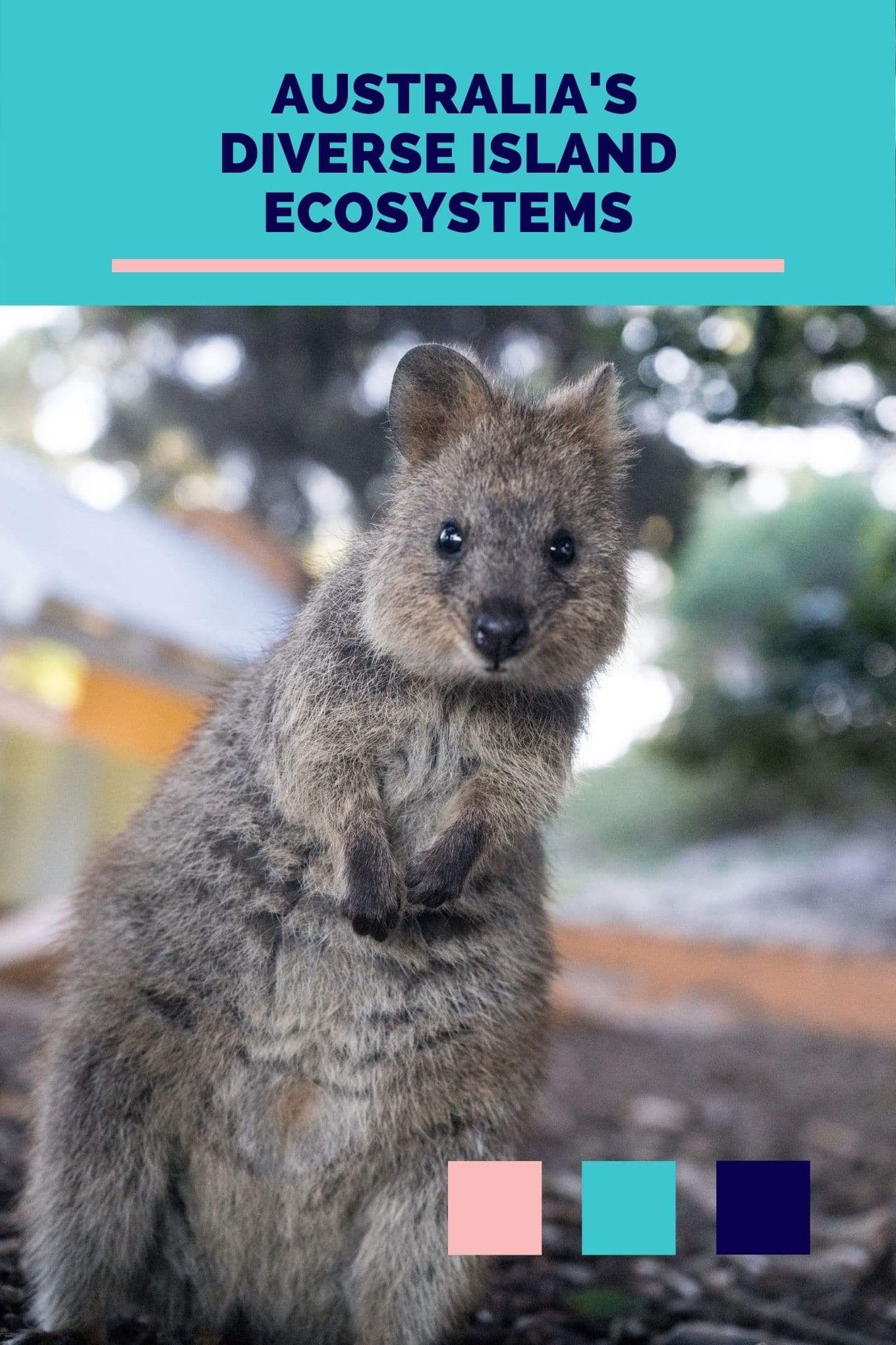 Australia's Diverse Island Ecosystems Australia's Diverse Island Ecosystems