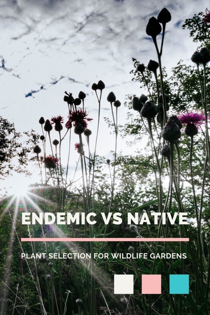 Wildlife Gardening: Endemic vs Native Species